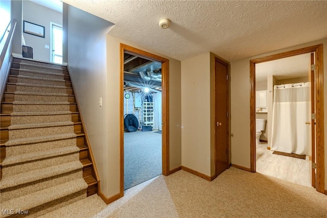 8921 Auburn Rd, Chardon, OH 44024 - stairs featuring carpet flooring, baseboards, and a textured ceiling
