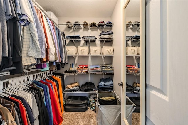 8921 Auburn Rd, Chardon, OH 44024 - walk in closet with carpet floors