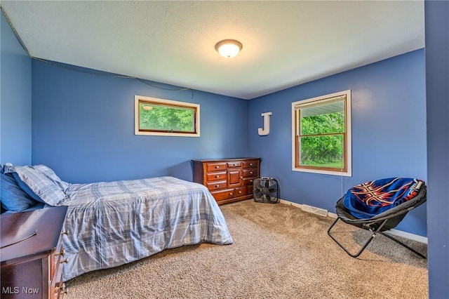 8921 Auburn Rd, Chardon, OH 44024 - bedroom with multiple windows, carpet, and baseboards