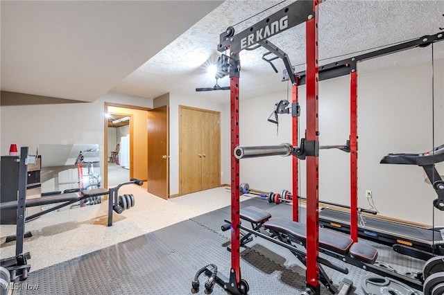 8921 Auburn Rd, Chardon, OH 44024 - exercise area featuring carpet flooring and a textured ceiling