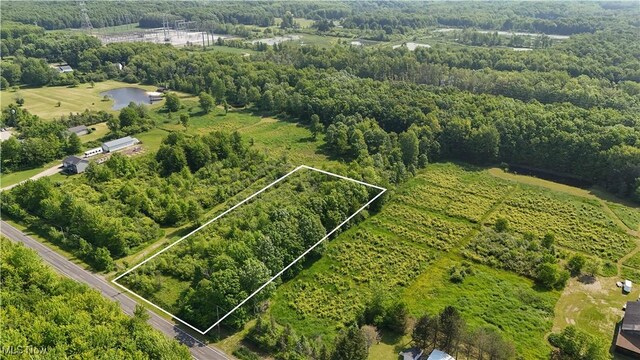Brakeman Rd, Painesville, OH 44077