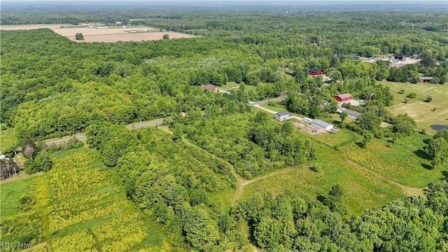 Brakeman Rd, Painesville, OH 44077