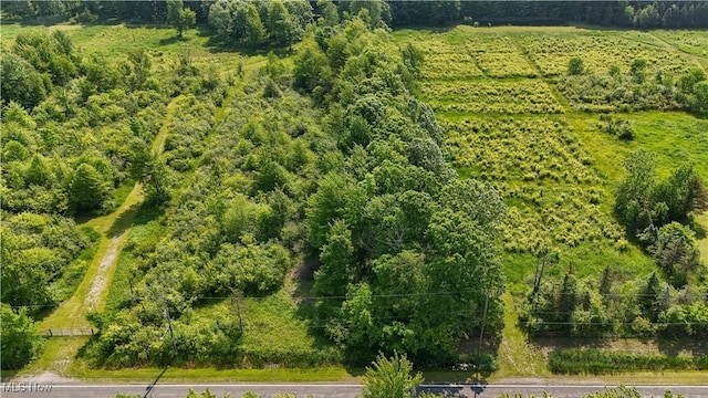 Brakeman Rd, Painesville, OH 44077