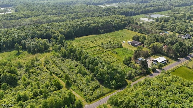 Brakeman Rd, Painesville, OH 44077