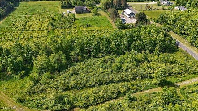 Brakeman Rd, Painesville, OH 44077