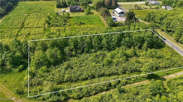 Brakeman Rd, Painesville, OH 44077