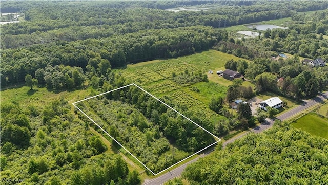 Brakeman Rd, Painesville, OH 44077
