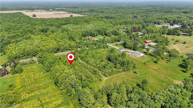 Brakeman Rd, Painesville, OH 44077