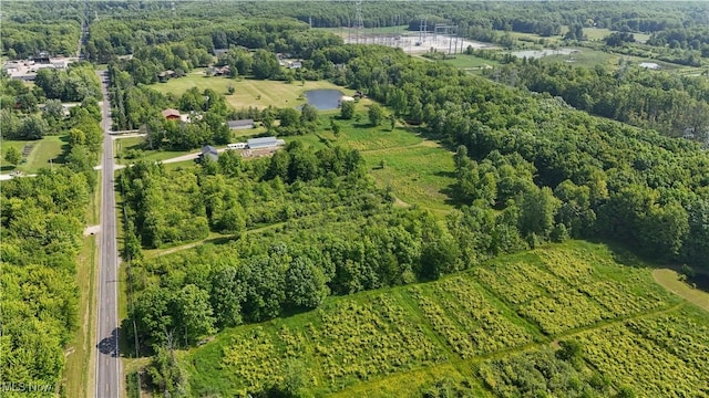 Brakeman Rd, Painesville, OH 44077