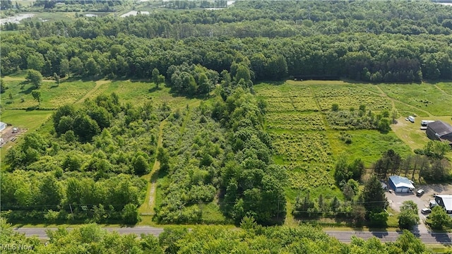 Brakeman Rd, Painesville, OH 44077