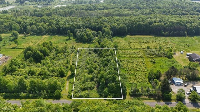 Brakeman Rd, Painesville, OH 44077