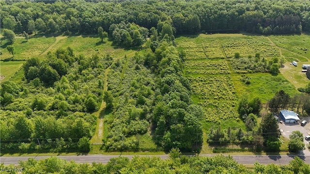 Brakeman Rd, Painesville, OH 44077