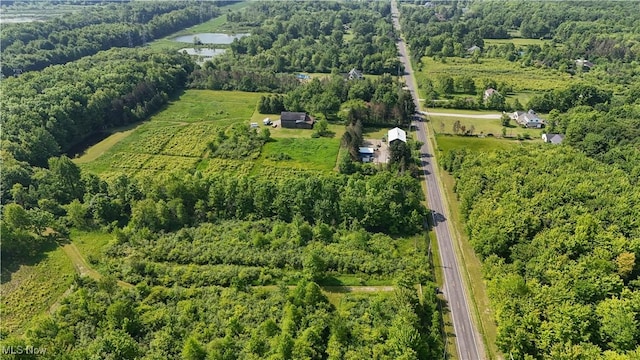Brakeman Rd, Painesville, OH 44077