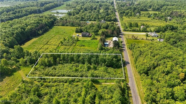 Brakeman Rd, Painesville, OH 44077