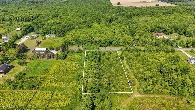 Brakeman Rd, Painesville, OH 44077