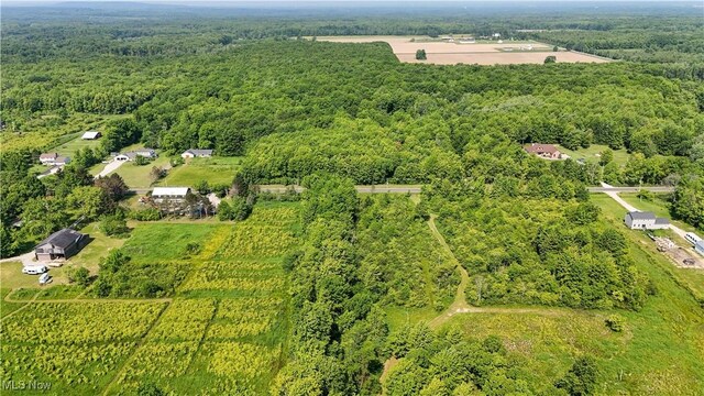 Brakeman Rd, Painesville, OH 44077