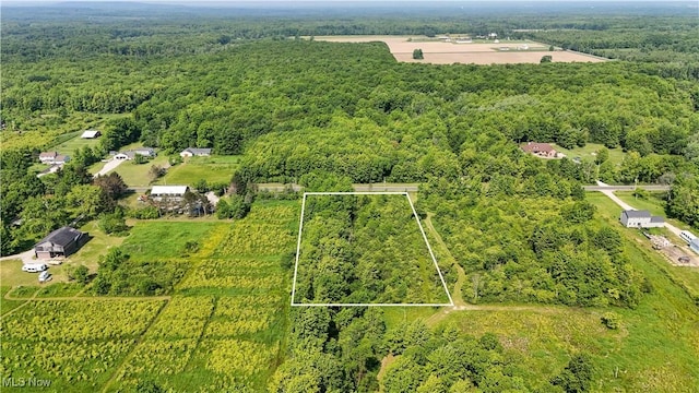 Brakeman Rd, Painesville, OH 44077