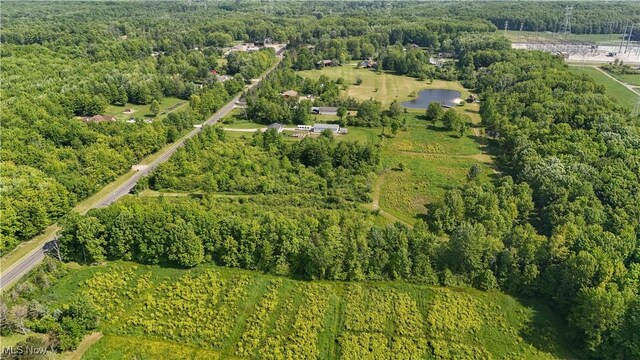 Brakeman Rd, Painesville, OH 44077