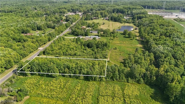 Brakeman Rd, Painesville, OH 44077