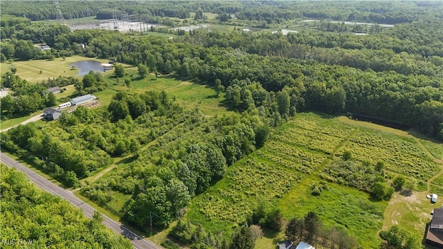 Brakeman Rd, Painesville, OH 44077