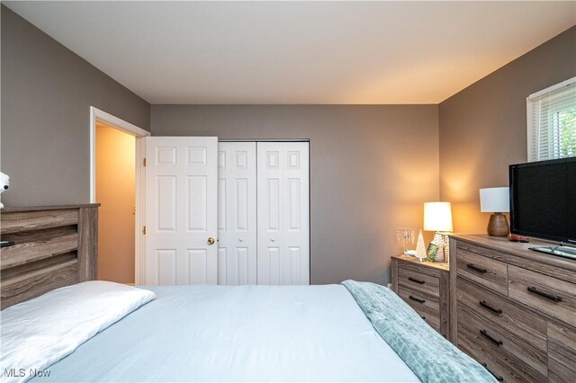 3406 Rebecca Dr, Canfield, OH 44406 - bedroom featuring a closet