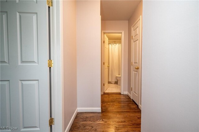 3406 Rebecca Dr, Canfield, OH 44406 - hallway with wood finished floors and baseboards