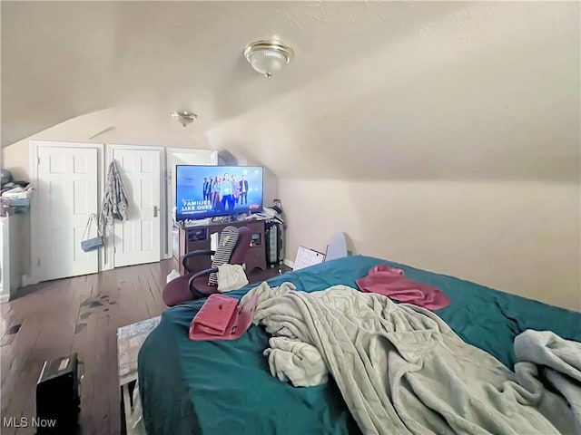 1541 E 196th St, Euclid, OH 44117 - bedroom with lofted ceiling and wood finished floors