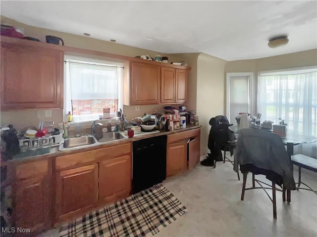 1541 E 196th St, Euclid, OH 44117 - kitchen with a sink, dishwasher, and plenty of natural light