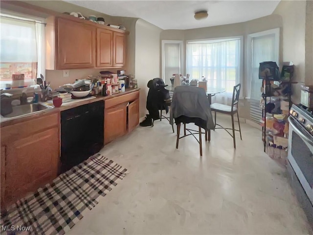 1541 E 196th St, Euclid, OH 44117 - kitchen with a sink, black dishwasher, stainless steel range, light brown cabinetry, and light countertops