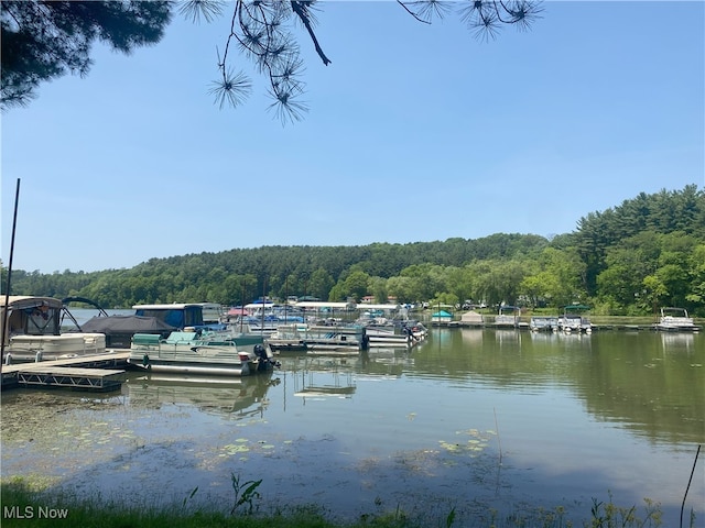 4244 Hensel Dr SW, Carrollton, OH 44615 - dock with a view of trees and a water view