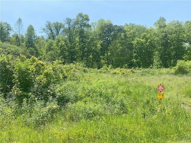 4244 Hensel Dr SW, Carrollton, OH 44615 - view of undeveloped land