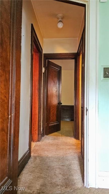 10612 Linnet Ave, Cleveland, OH 44111 - corridor featuring carpet floors