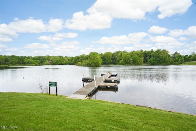 200 Granger Rd, Medina, OH 44256 - dock area featuring a water view, a yard, and a view of trees