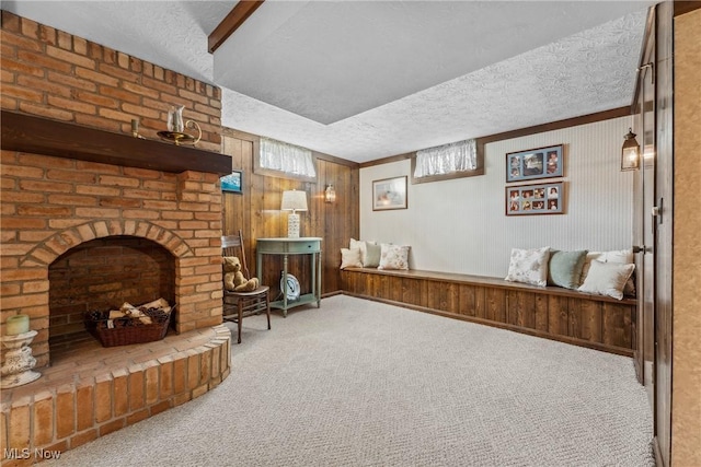 5725 Grove St, Louisville, OH 44641 - living area featuring a textured ceiling, carpet floors, wooden walls, and healthy amount of natural light