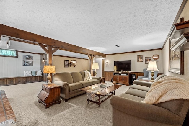 5725 Grove St, Louisville, OH 44641 - living area with light colored carpet, crown molding, a wainscoted wall, a textured ceiling, and wooden walls