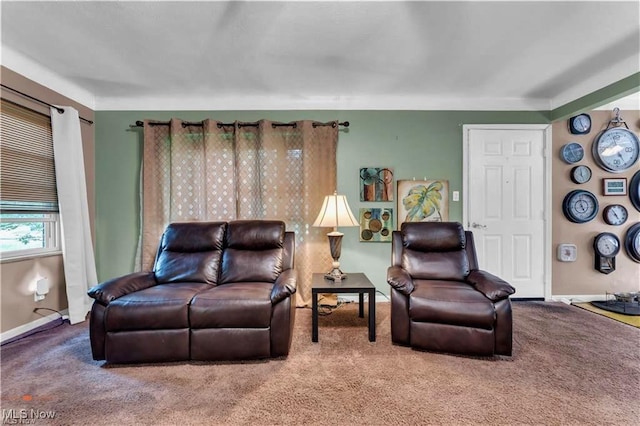 459 Lloyd Rd, Euclid, OH 44132 - living area featuring carpet flooring and baseboards