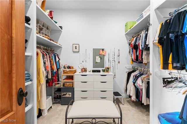 9627 State Route 152, Richmond, OH 43944 - spacious closet with light colored carpet