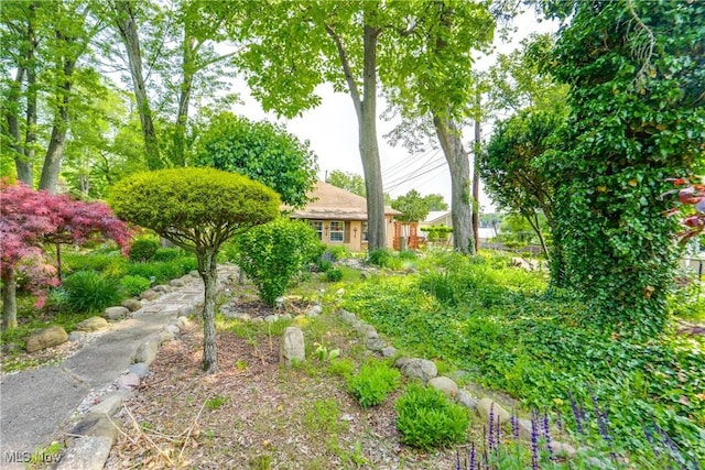 4944 Coleman Dr, Akron, OH 44319 - view of yard