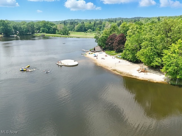 17682 Eastbrook Trl, Chagrin Falls, OH 44023 - water view with a forest