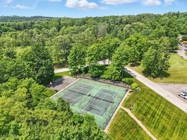 17682 Eastbrook Trl, Chagrin Falls, OH 44023 - aerial view of a forest
