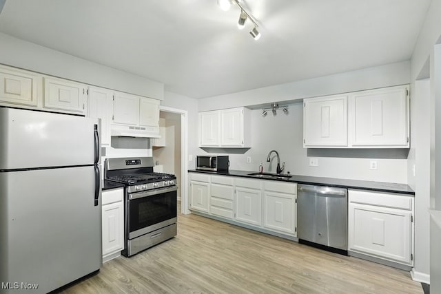 17682 Eastbrook Trl, Chagrin Falls, OH 44023 - kitchen with appliances with stainless steel finishes, a sink, under cabinet range hood, light wood-style flooring, and white cabinets