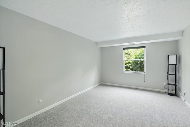 17682 Eastbrook Trl, Chagrin Falls, OH 44023 - spare room featuring carpet floors, a textured ceiling, and baseboards