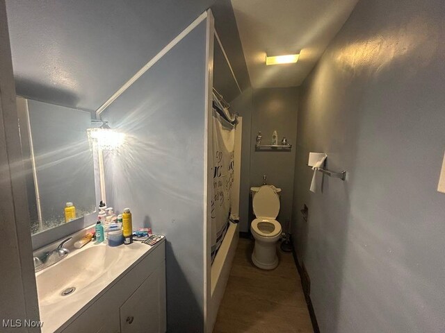 2411 Strasser Pl SW, Canton, OH 44710 - full bath with toilet, vanity, a shower, and lofted ceiling