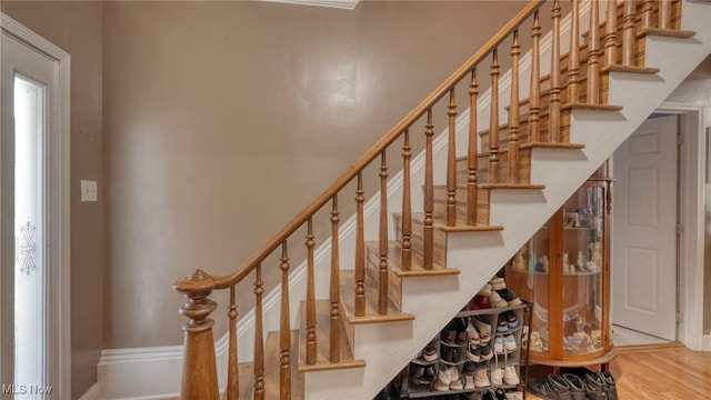 21 E Maple Ave, New Concord, OH 43762 - staircase featuring wood finished floors and baseboards