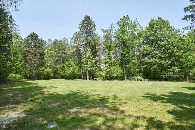 11820 Sherman Rd, Chardon, OH 44024 - photo 34