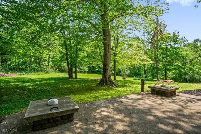 6730 Stone Rd, Medina, OH 44256 - view of green lawn