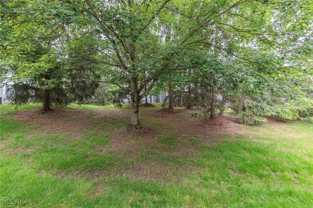 2592 Burridge Cir, Twinsburg, OH 44087 - photo 34