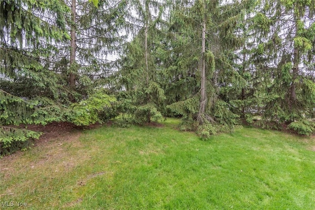 2592 Burridge Cir, Twinsburg, OH 44087 - photo 35