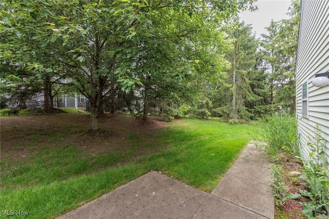 2592 Burridge Cir, Twinsburg, OH 44087 - photo 31