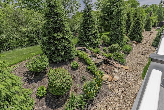 660 Shinnecock Ln, Aurora, OH 44202 - view of yard